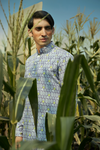 Purple Park  - Silk Kurta