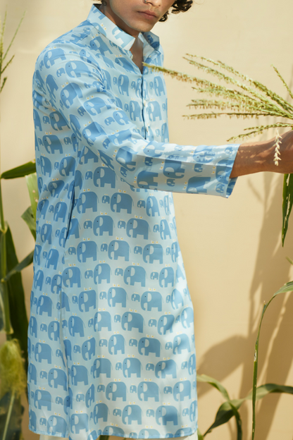 Elephant March  - Silk Kurta